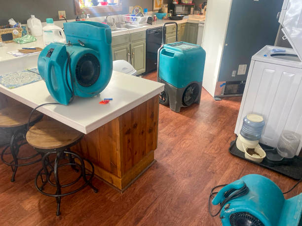Best 24/7 water damage repair  in St Marys, WV
