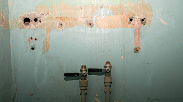Best Residential water damage restoration  in St Marys, WV
