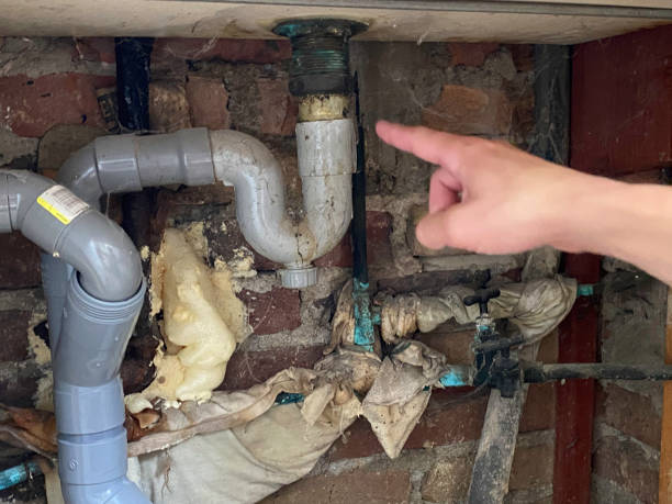 Best Flood damage cleanup  in St Marys, WV