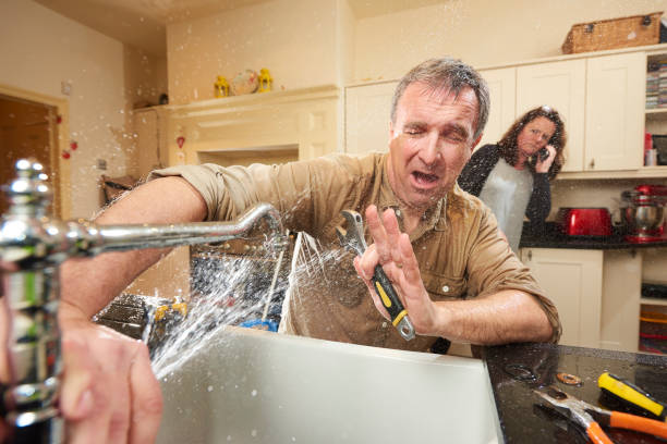 Best Local water damage restoration  in St Marys, WV